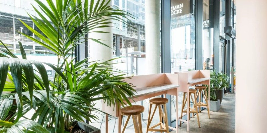 A cozy scene with a bar area and a prominent large potted plant, adding greenery to the setting.